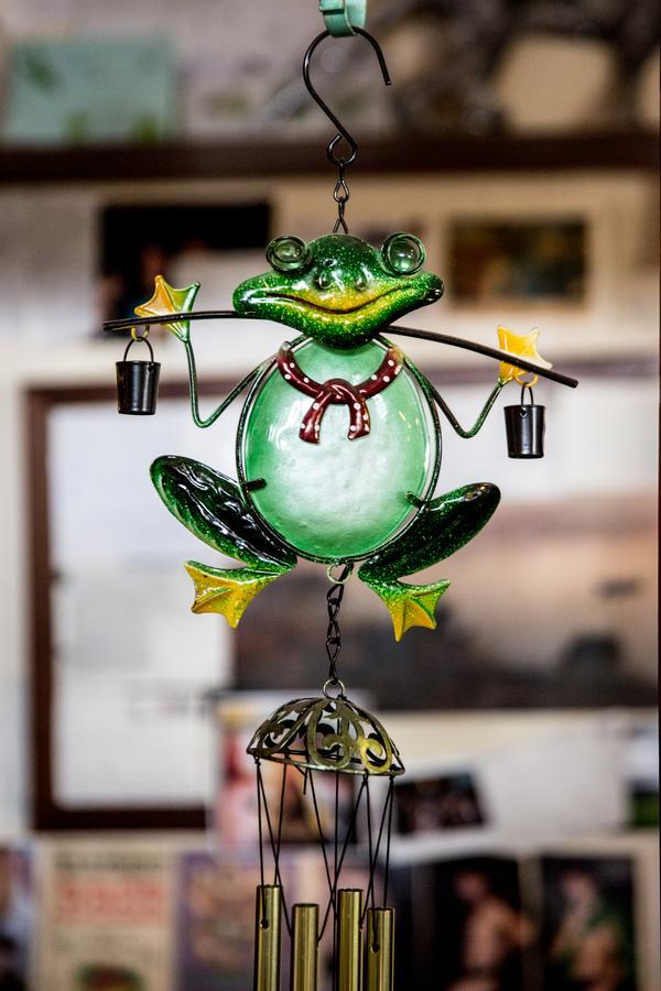 The Pickled Frog Hostel Hobart Exterior foto